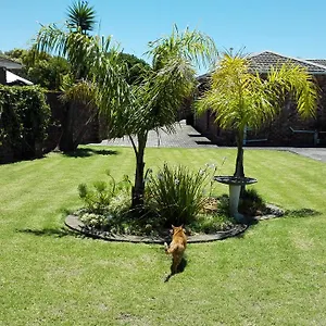 humewood-home-stay.port-elizabeth-hotel.com/